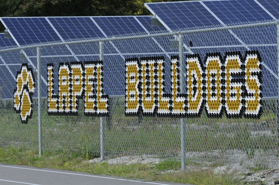 BULLDOGS
