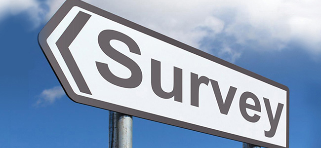 Street sign that says Survey